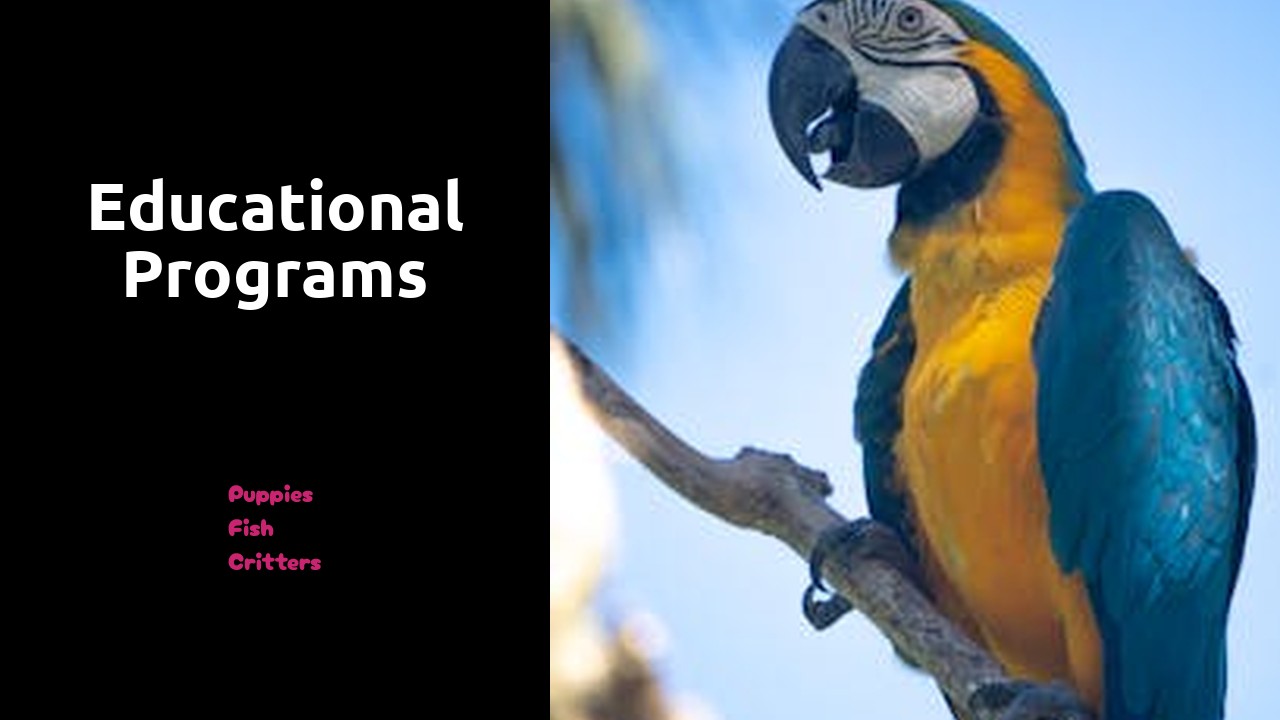 Educational Programs