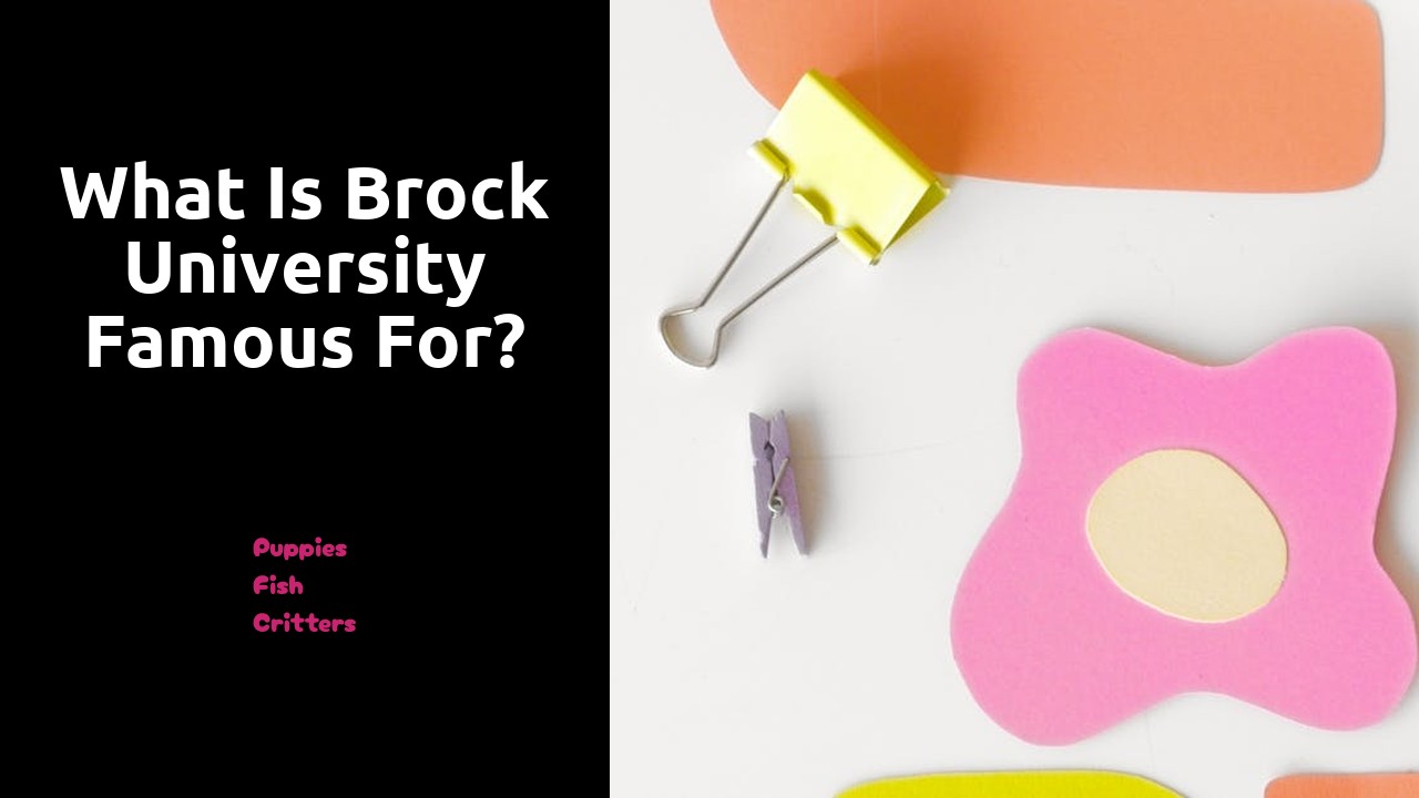 What is Brock University famous for?
