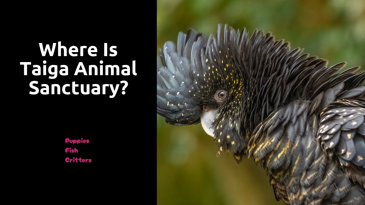 Where is taiga Animal Sanctuary?